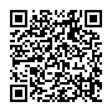 QR code for 955IX