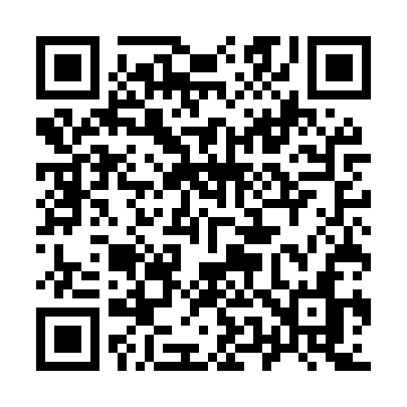QR code for 955MSN