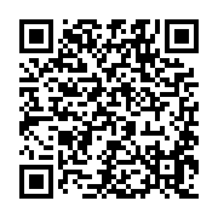 QR code for 955PI