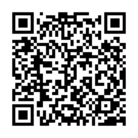 QR code for 955QIX
