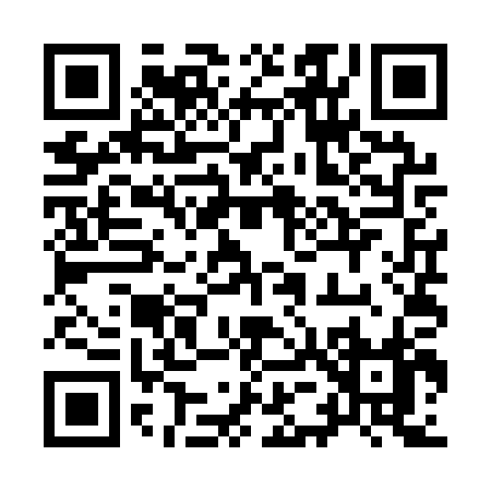 QR code for 955QP