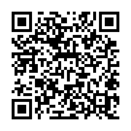 QR code for 955SMI