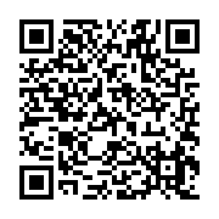QR code for 955US