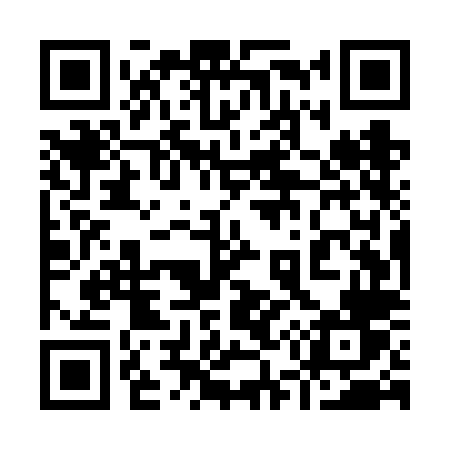 QR code for 955VLV
