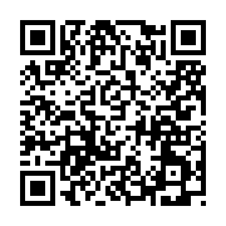 QR code for 955XJ