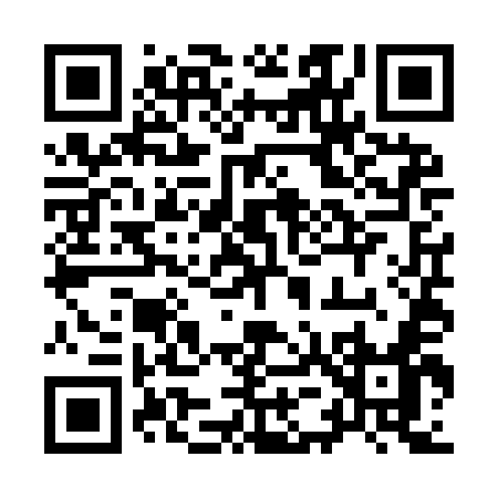 QR code for 955YE
