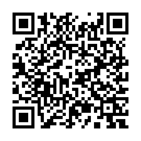 QR code for 955Z