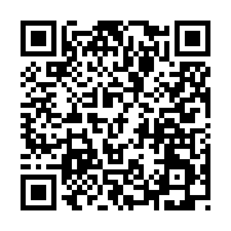 QR code for 955ZD