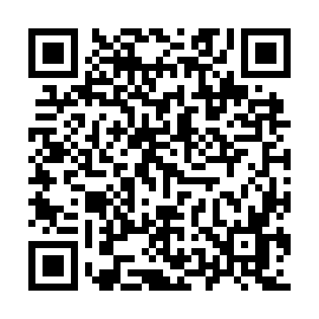 QR code for 956O