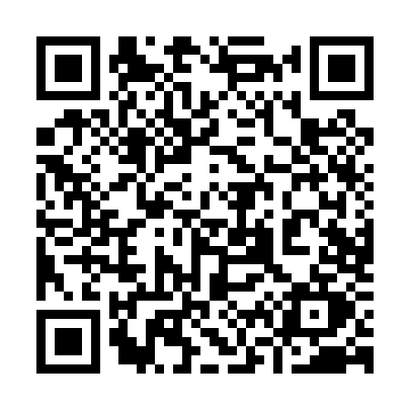 QR code for 960P
