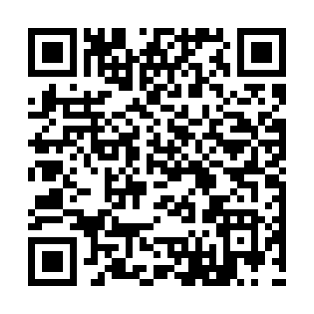 QR code for 966EV