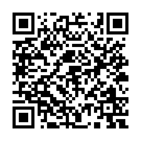 QR code for 971TS