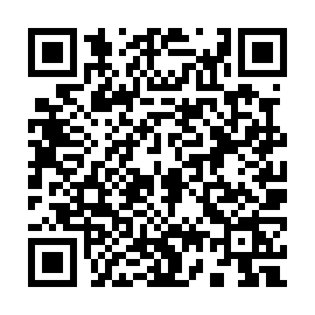 QR code for 976P