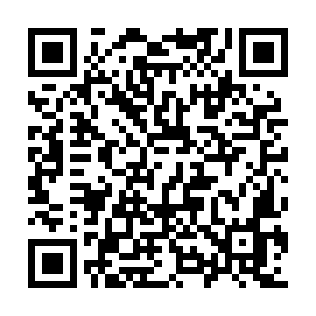 QR code for 990LMO