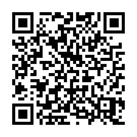 QR code for 990TPP