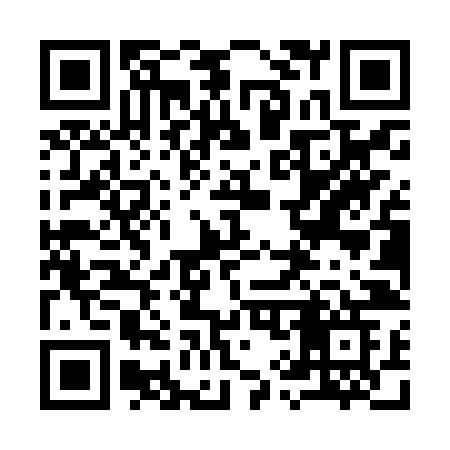 QR code for 990ZZG