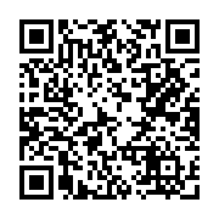 QR code for 991AGV