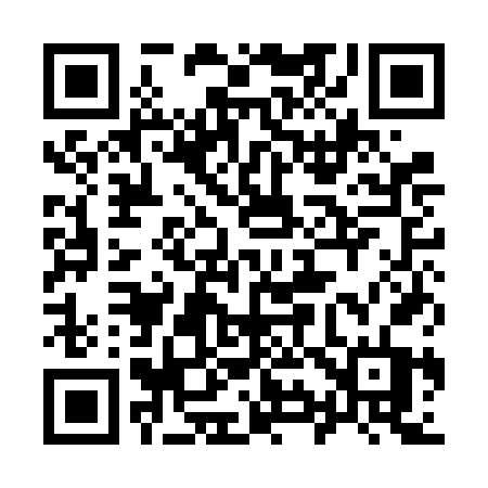 QR code for 991FFT