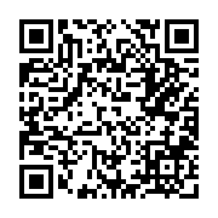 QR code for 991FZ