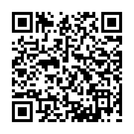 QR code for 991HF