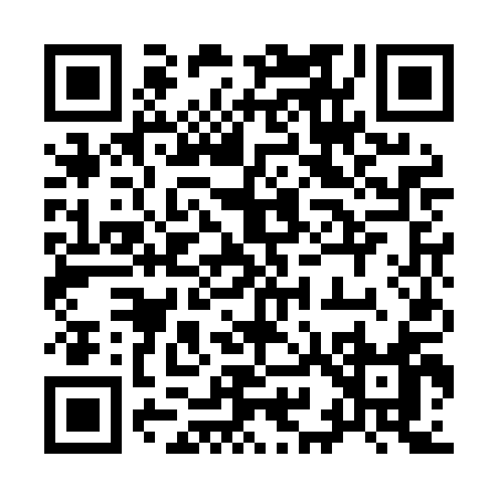 QR code for 991LA
