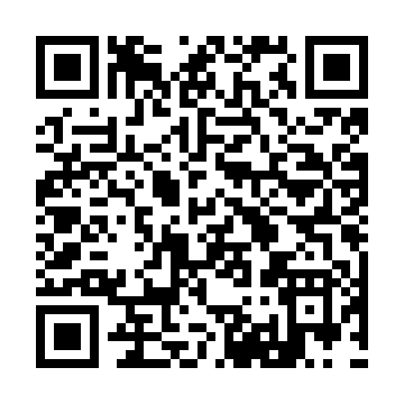 QR code for 991NP
