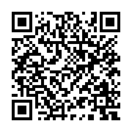 QR code for 991NQ