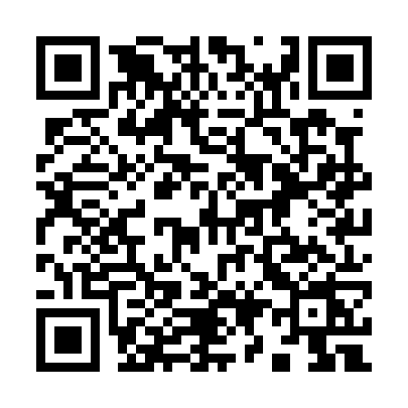 QR code for 991P