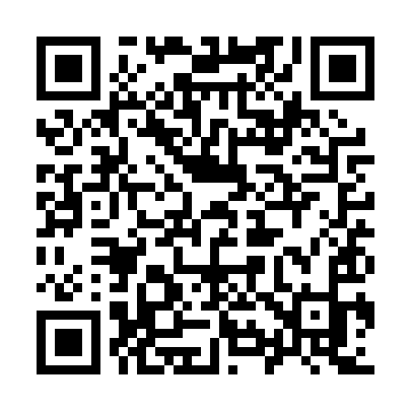 QR code for 991PYK