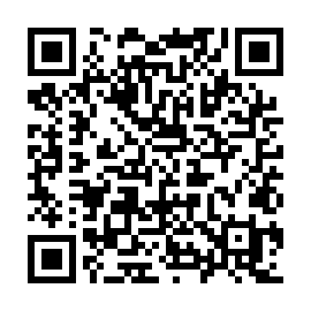 QR code for 991QLI