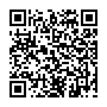QR code for 991S
