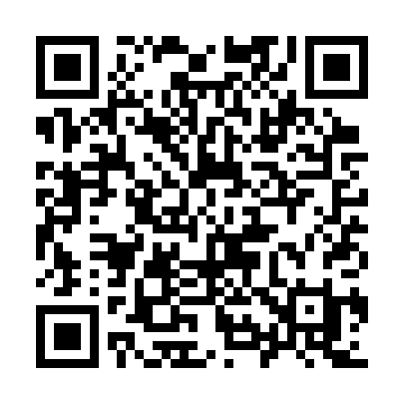 QR code for 991SPI