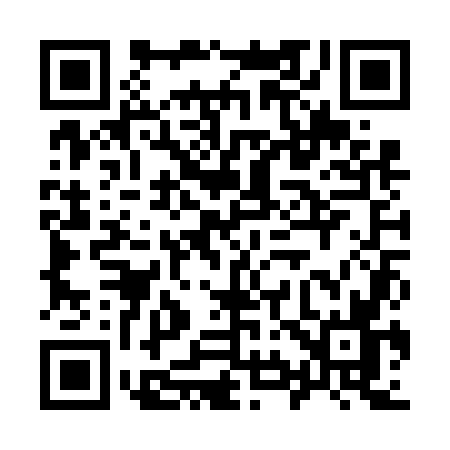 QR code for 991V