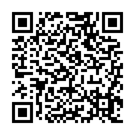 QR code for 991XF