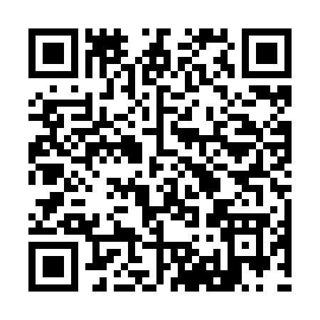 QR code for 991ZG