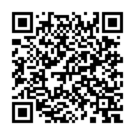 QR code for 993DNS
