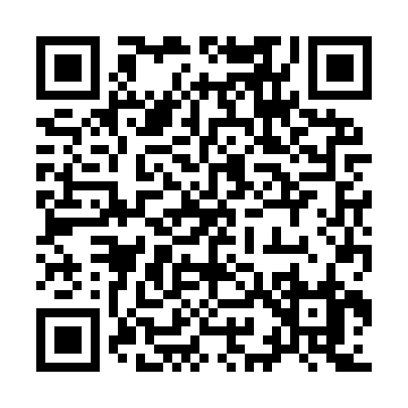 QR code for 993IR