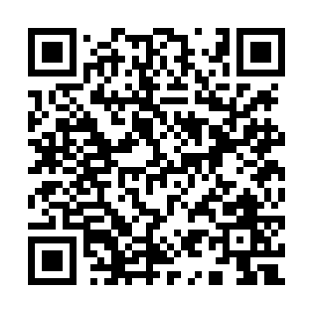 QR code for 993LG