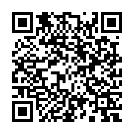 QR code for 993P