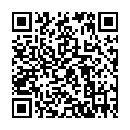 QR code for 993QL