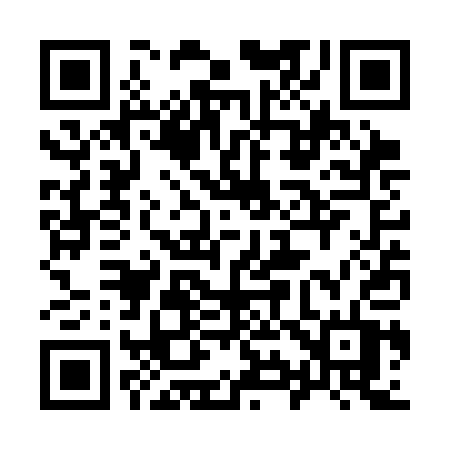 QR code for 993SAT