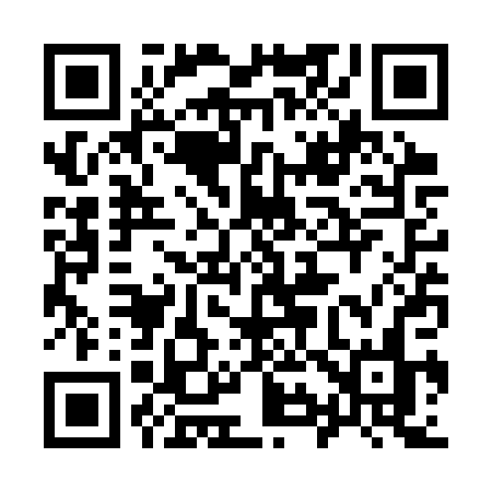 QR code for 993SPN