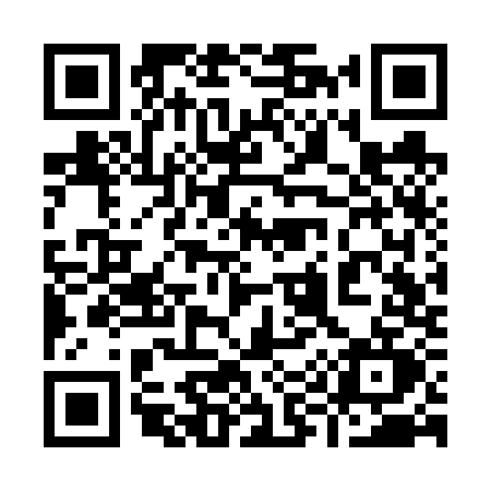 QR code for 993V