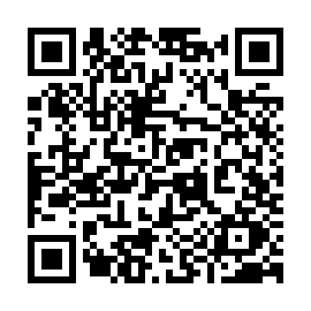 QR code for 993Z