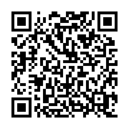 QR code for 993ZZF