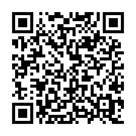 QR code for 996ILM
