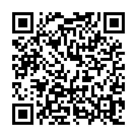 QR code for 996MEM
