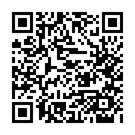 QR code for 996P