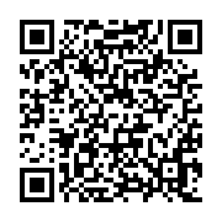 QR code for 996PIN
