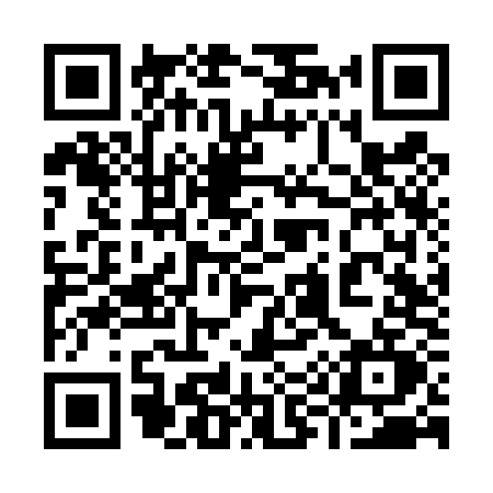 QR code for 996T